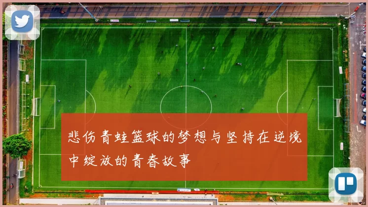 悲伤青蛙篮球的梦想与坚持在逆境中绽放的青春故事