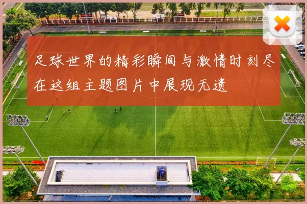 足球世界的精彩瞬间与激情时刻尽在这组主题图片中展现无遗
