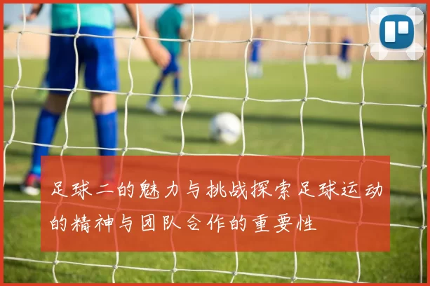 足球二的魅力与挑战探索足球运动的精神与团队合作的重要性